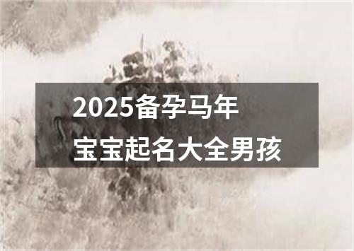 2025备孕马年宝宝起名大全男孩