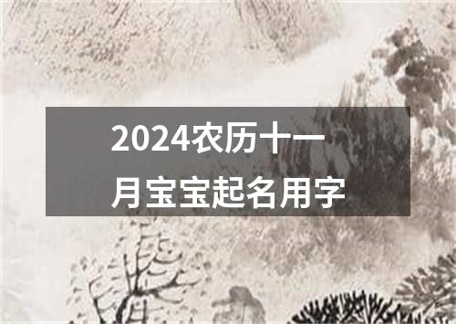 2024农历十一月宝宝起名用字