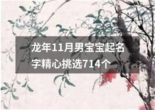 龙年11月男宝宝起名字精心挑选714个