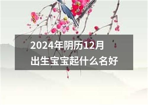 2024年阴历12月出生宝宝起什么名好