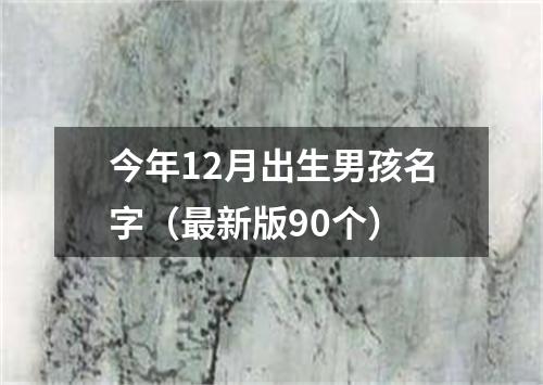 今年12月出生男孩名字（最新版90个）