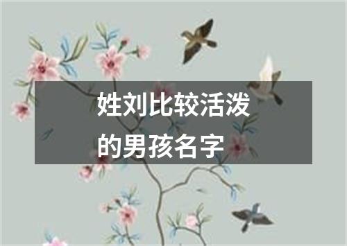 姓刘比较活泼的男孩名字