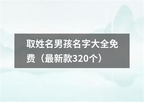 取姓名男孩名字大全免费（最新款320个）