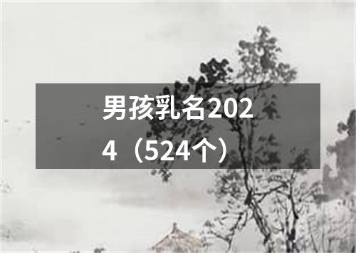 男孩乳名2024（524个）