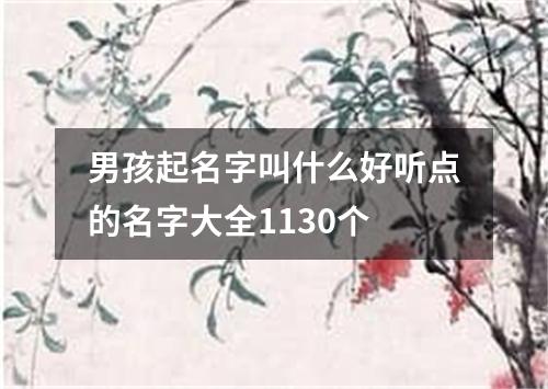 男孩起名字叫什么好听点的名字大全1130个