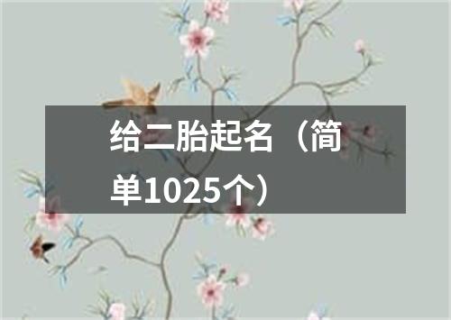 给二胎起名（简单1025个）