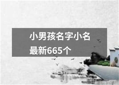 小男孩名字小名最新665个