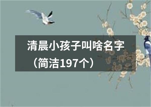 清晨小孩子叫啥名字(简洁197个)