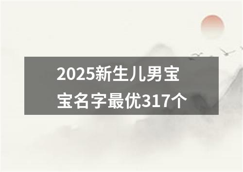 2025新生儿男宝宝名字最优317个
