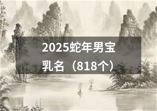 2025蛇年男宝乳名（818个）