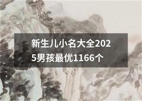 新生儿小名大全2025男孩最优1166个
