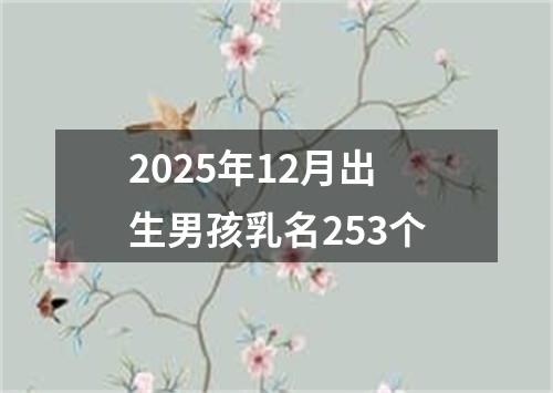 2025年12月出生男孩乳名253个