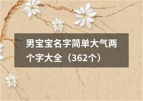 男宝宝名字简单大气两个字大全(362个)