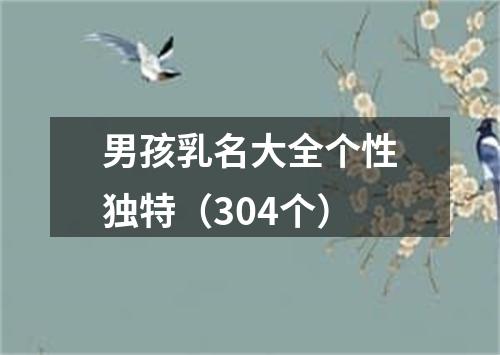 男孩乳名大全个性独特(304个)