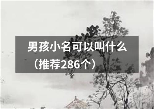 男孩小名可以叫什么(推荐286个)