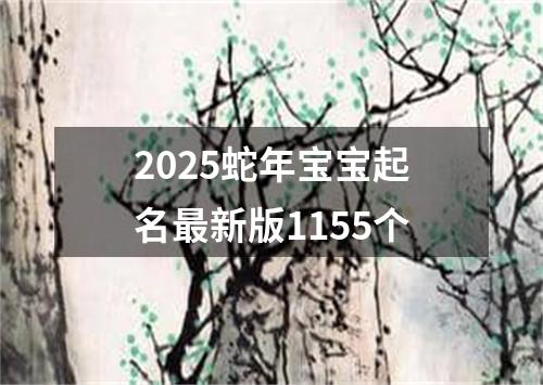 2025蛇年宝宝起名最新版1155个