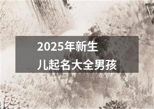 2025年新生儿起名大全男孩