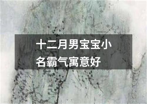 十二月男宝宝小名霸气寓意好