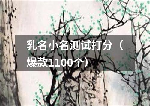 乳名小名测试打分(爆款1100个)