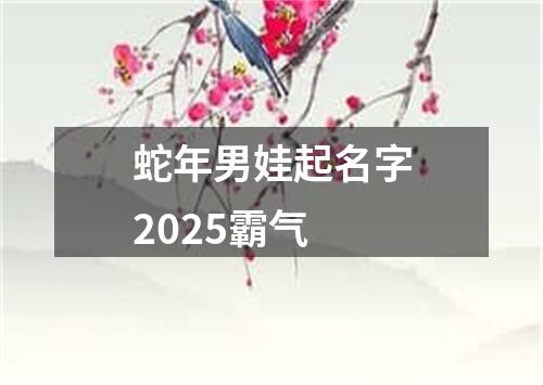 蛇年男娃起名字2025霸气