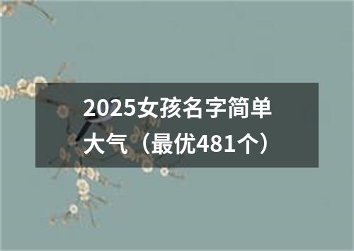 2025女孩名字简单大气(最优481个)