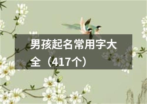 男孩起名常用字大全(417个)