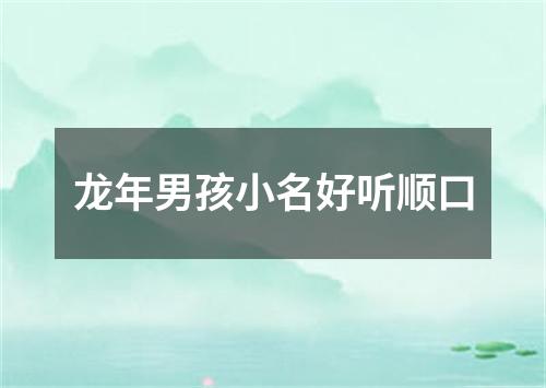 龙年男孩小名好听顺口