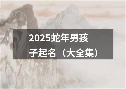 2025蛇年男孩子起名(大全集)