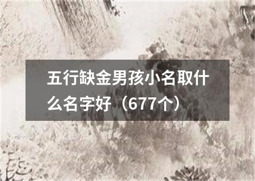 五行缺金男孩小名取什么名字好（677个）