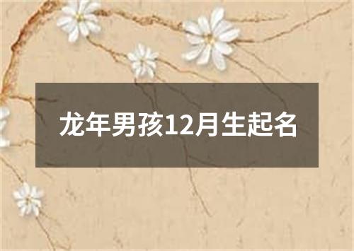 龙年男孩12月生起名