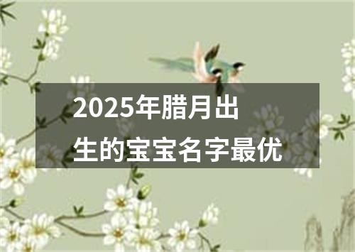 2025年腊月出生的宝宝名字最优