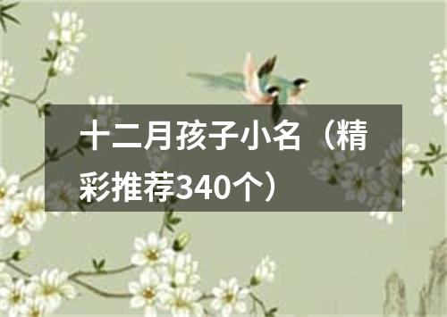 十二月孩子小名（精彩推荐340个）
