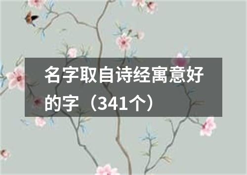 名字取自诗经寓意好的字(341个)