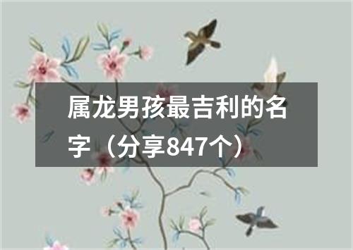 属龙男孩最吉利的名字（分享847个）