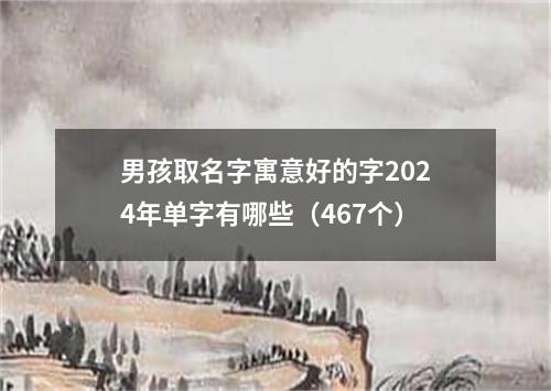 男孩取名字寓意好的字2024年单字有哪些(467个)