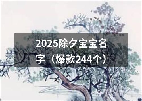2025除夕宝宝名字（爆款244个）