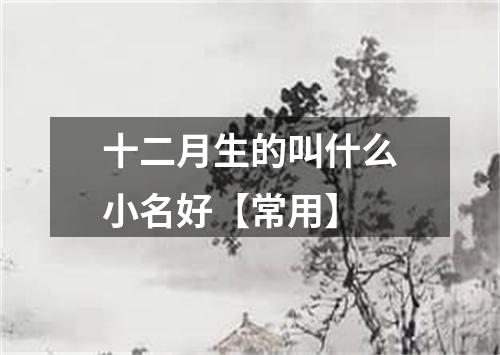 十二月生的叫什么小名好【常用】