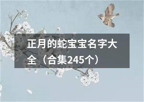 正月的蛇宝宝名字大全（合集245个）