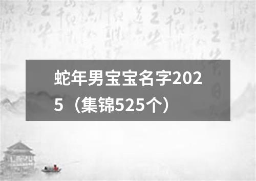 蛇年男宝宝名字2025(集锦525个)