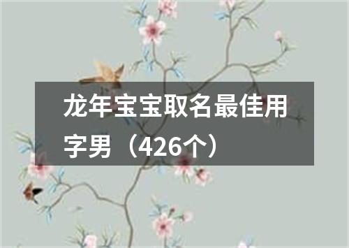 龙年宝宝取名最佳用字男（426个）