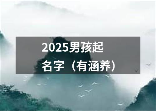 2025男孩起名字(有涵养)