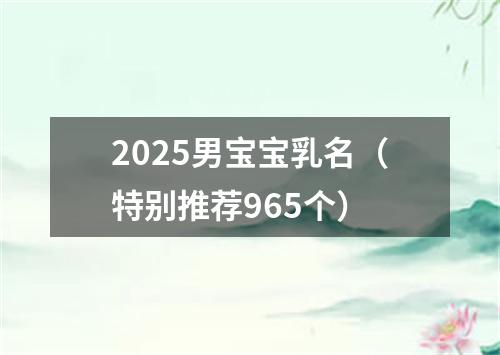 2025男宝宝乳名（特别推荐965个）