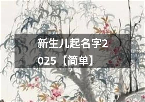 新生儿起名字2025【简单】