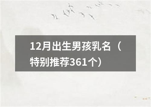 12月出生男孩乳名(特别推荐361个)