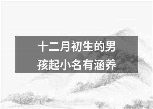 十二月初生的男孩起小名有涵养
