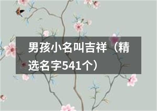 男孩小名叫吉祥（精选名字541个）