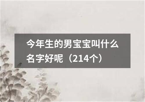 今年生的男宝宝叫什么名字好呢(214个)