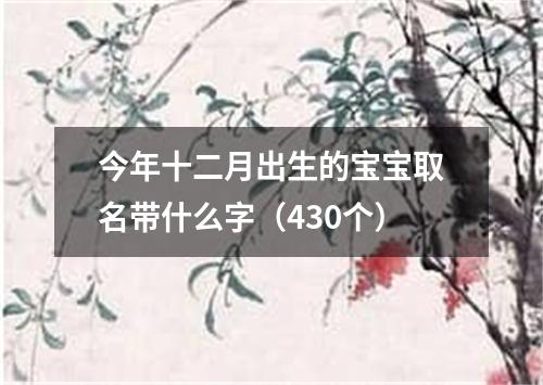 今年十二月出生的宝宝取名带什么字（430个）