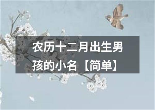 农历十二月出生男孩的小名【简单】