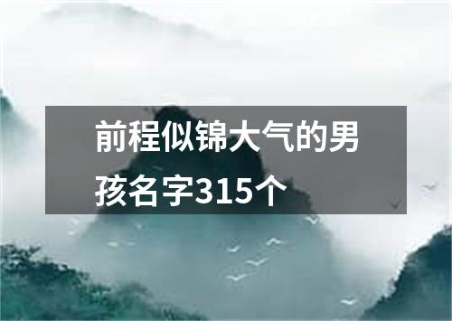 前程似锦大气的男孩名字315个